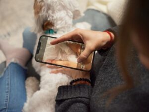 Ollie healthscreening